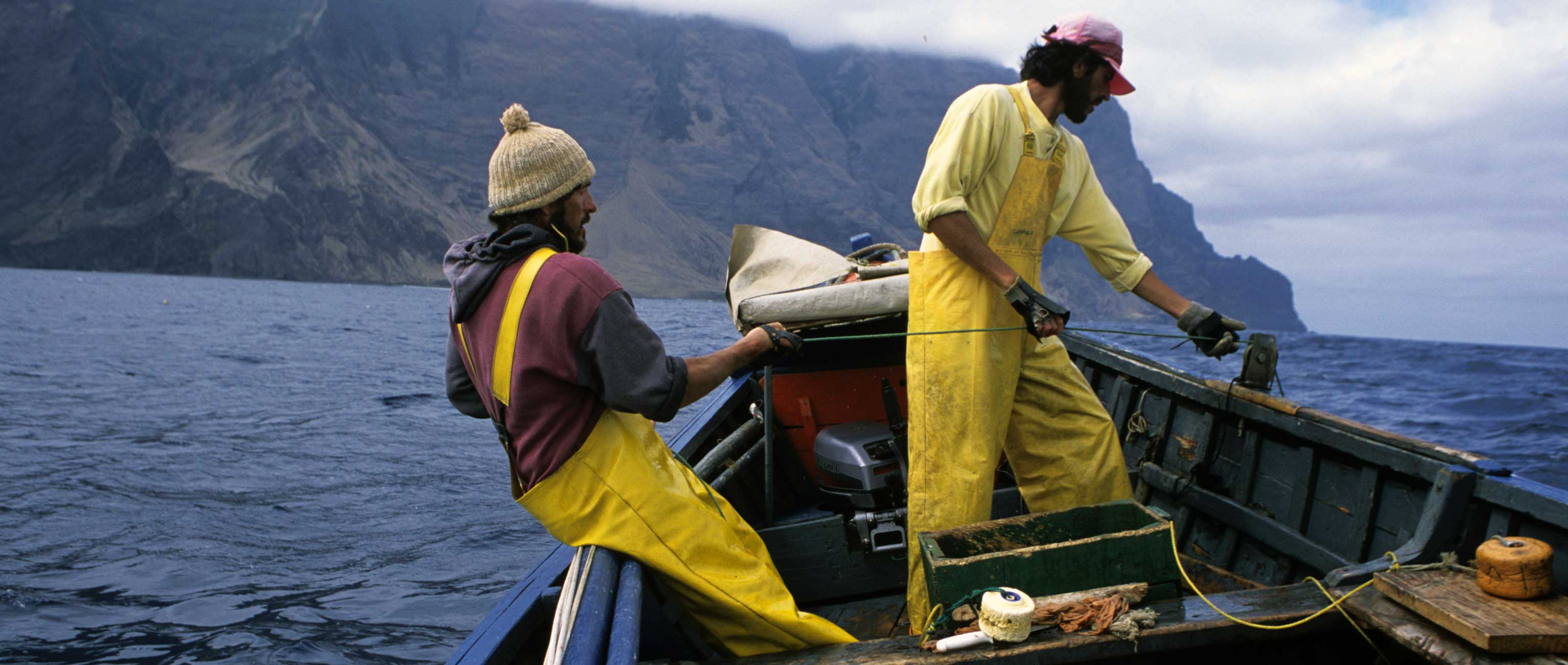 Marine Stewardship Council Labeling and the Future of Sustainable Fisheries